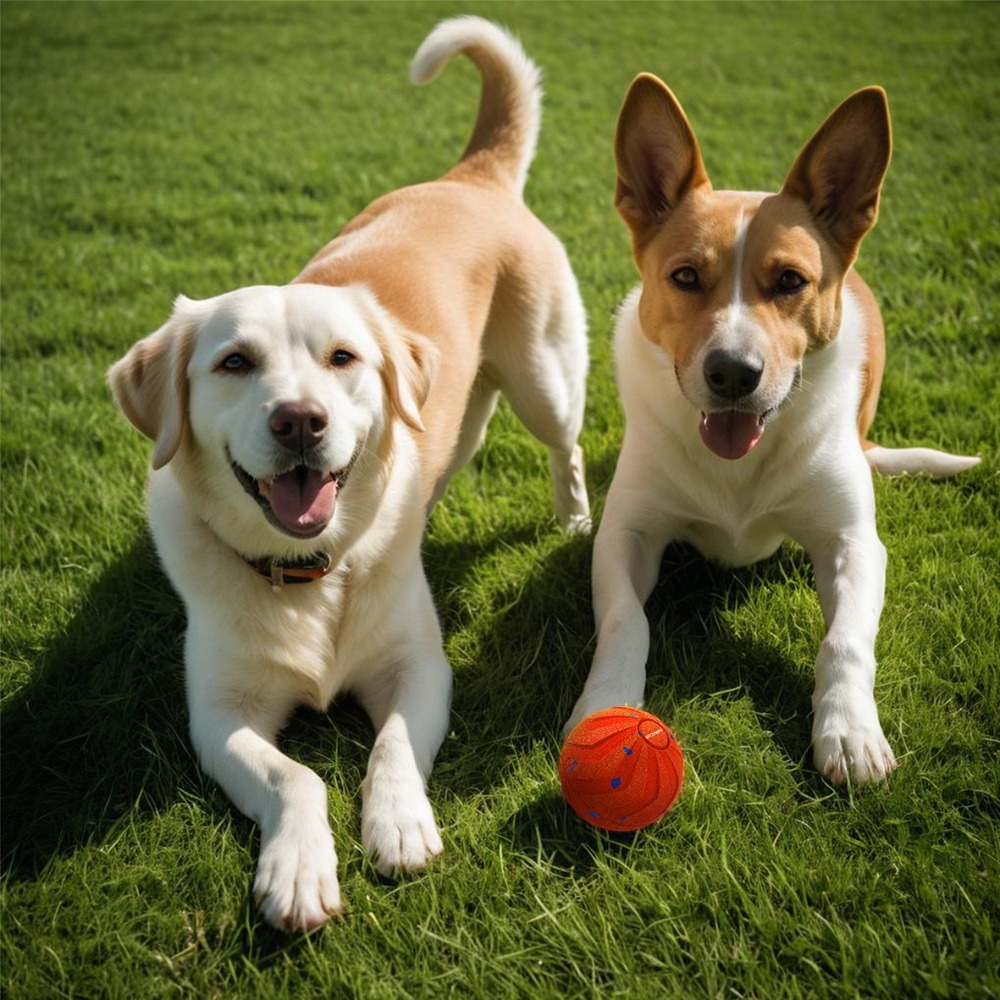 Bite Resistant Smart Dog Ball  - Automatic Moving Dog Ball 评论和价格