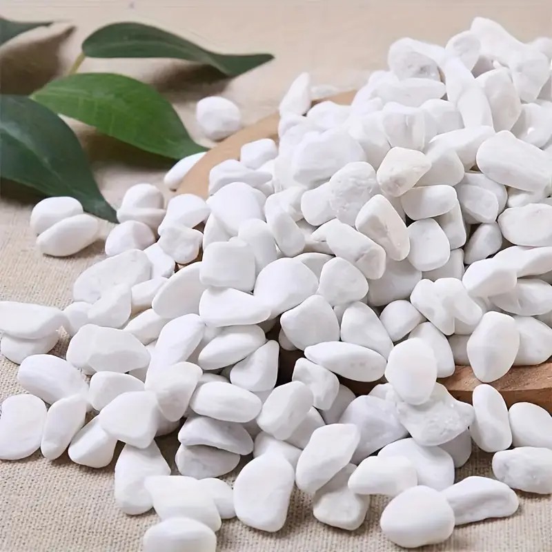 1L High-Quality Perlite Succul - Pet Beds 评论和价格