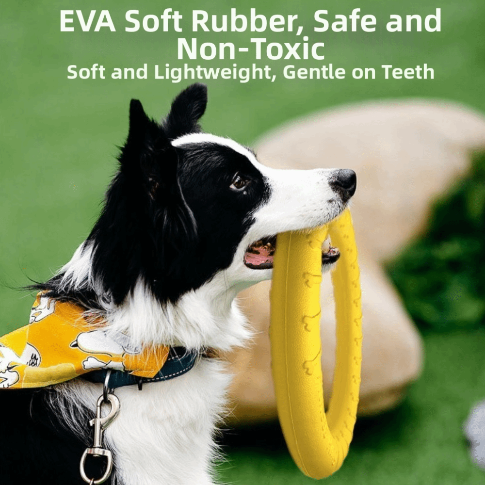 Puppy Outdoor Play Toy Set EVA - Flying Disc Dog Training Toy 评论和价格