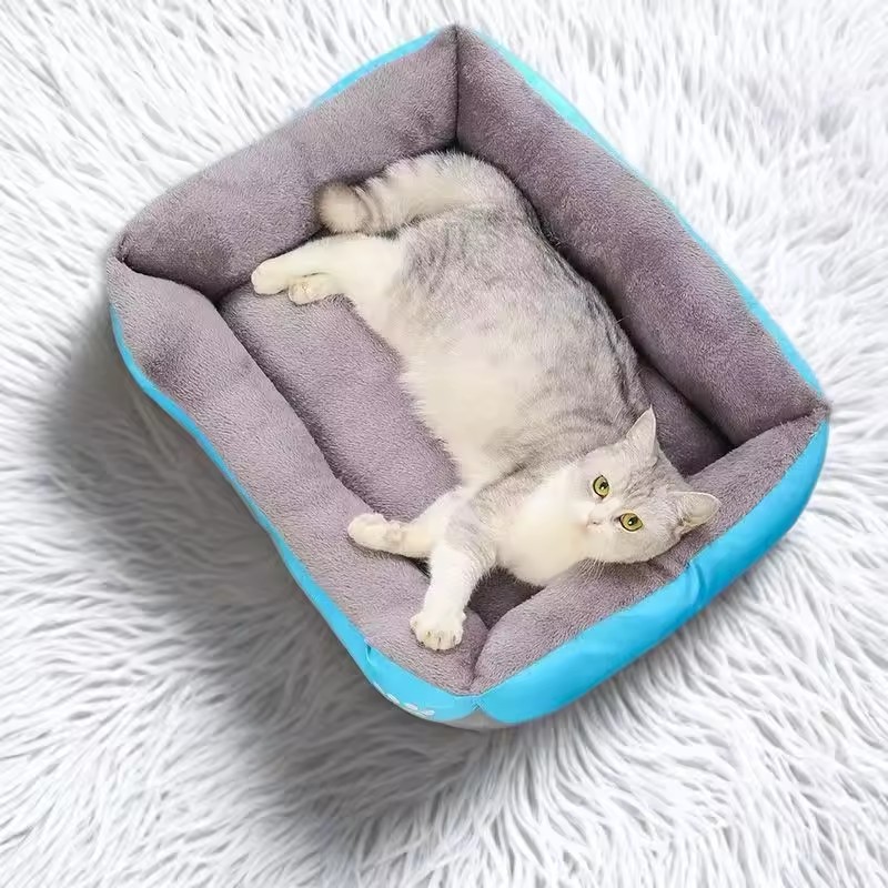 Soft Plush Cushion Bed for Sma - Interactive Squeaky Plush Dog Toy 评论和价格