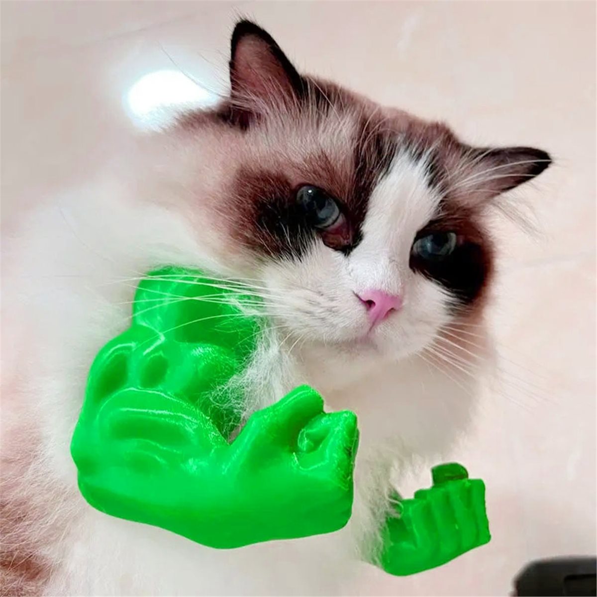 NEWCat Muscle Arm Pendant Pet  - Cat Toys 评论和价格